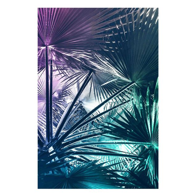 Cuadro con paisajes Tropical Plants Palm Leaf In Turquoise IIl