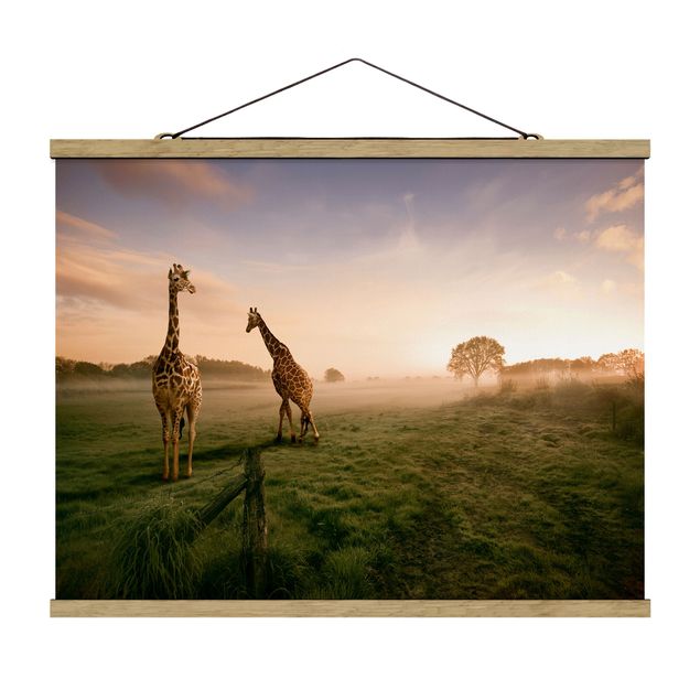 Cuadros de naturaleza Surreal Giraffes