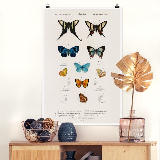 Decoración cocina Vintage Board Butterflies I