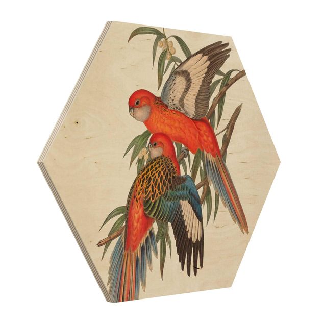 Cuadros modernos Tropical Parrot I