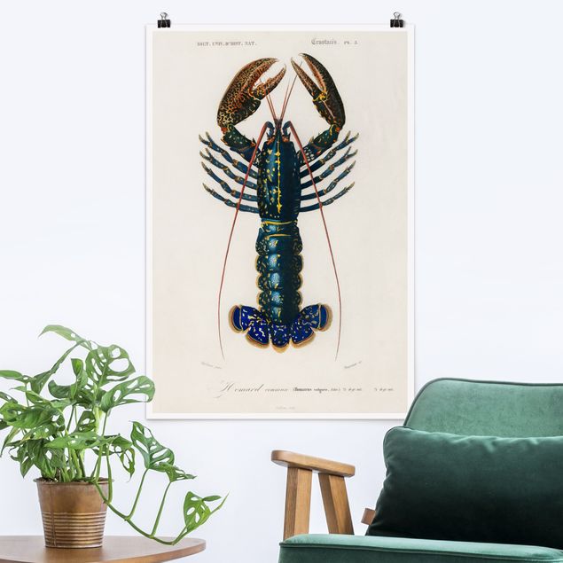Decoración de cocinas Vintage Board Blue Lobster
