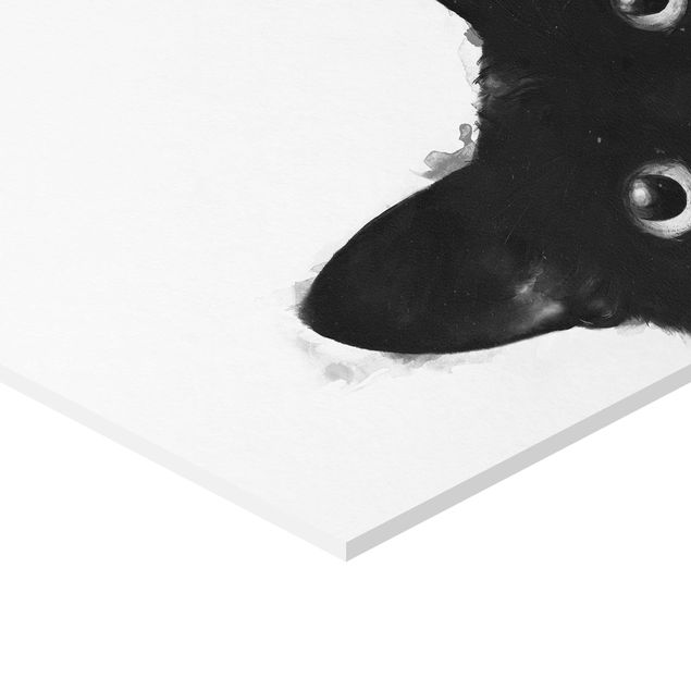Cuadros Laura Graves Arte Illustration Black Cat On White Painting