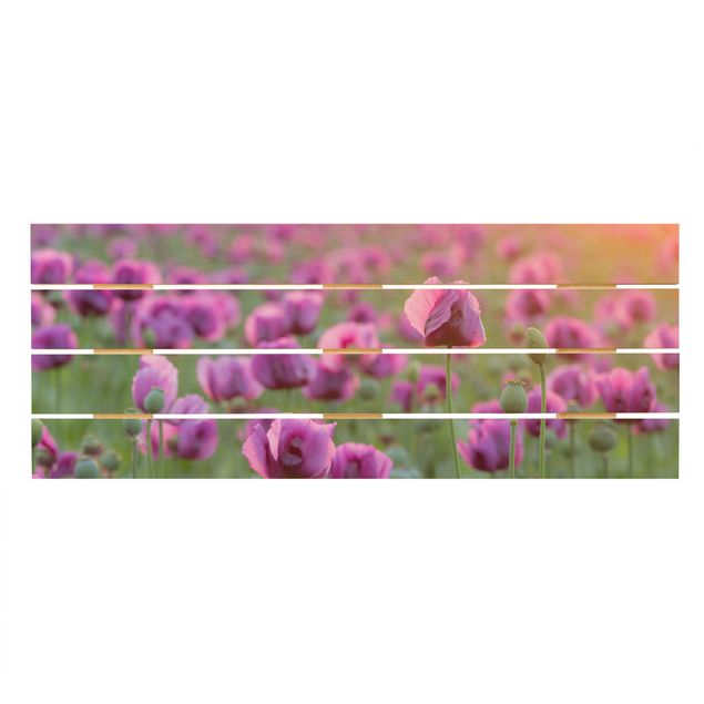 Cuadros Purple Poppy Flower Meadow In Spring