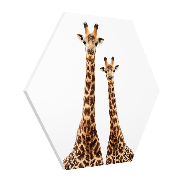 Cuadros animales Portait Of Two Giraffes