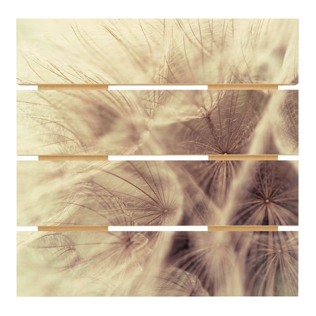 Cuadros Detailed Dandelion Macro Shot With Vintage Blur Effect