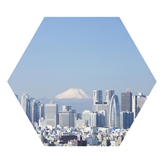 Cuadros de ciudades Tokyo In Front Of Fuji