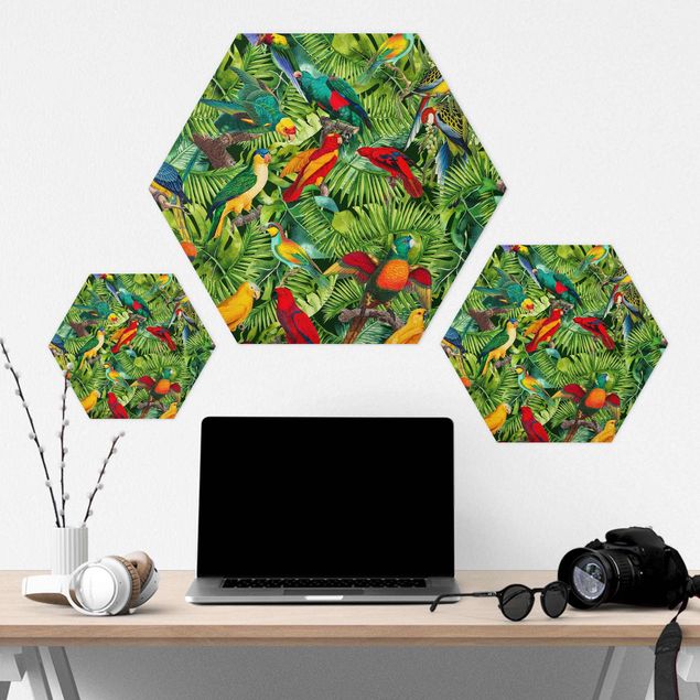 Cuadros hexagonales Colorful Collage - Parrot In The Jungle