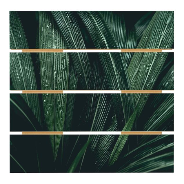 Cuadros en madera Green Palm Leaves