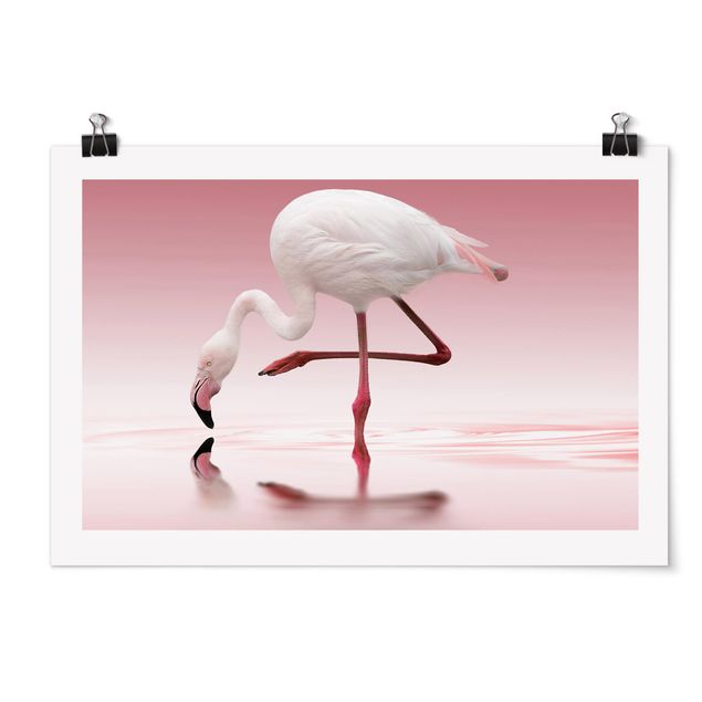 Cuadros africanos modernos Flamingo Dance