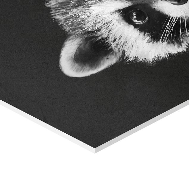 Cuadros Laura Graves Arte Illustration Racoon Black And White Painting