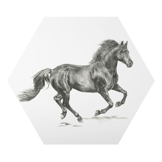 Cuadros en blanco y negro Wild Horse Trial - Stallion