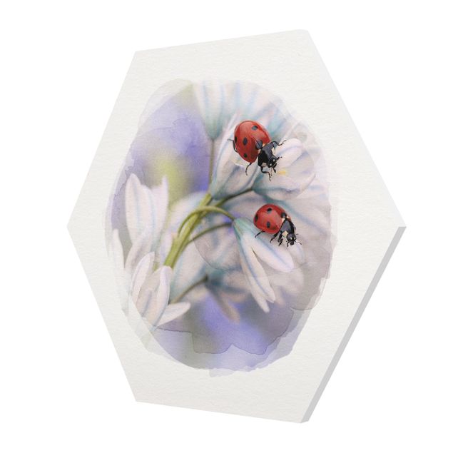 cuadros hexagonales Water Colours - Ladybug Couple