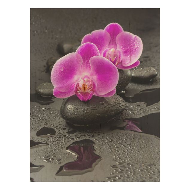 Cuadros de madera flores Pink Orchid Flower On Stones With Drops