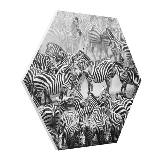 Cuadros modernos y elegantes Zebra herd II