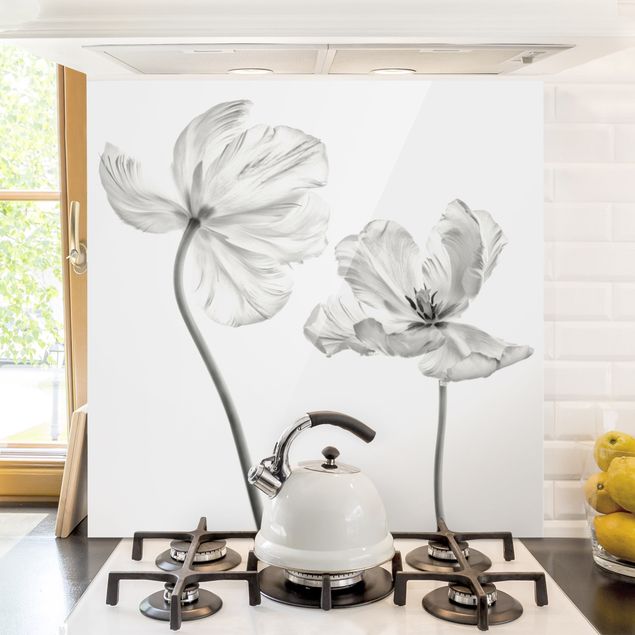 Decoración en la cocina Two Delicate White Tulips