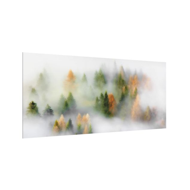 Spritzschutz Glas - Nebelwald im Herbst - Querformat - 2:1