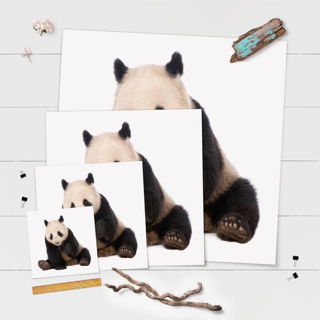 Láminas decorativas Panda Paws
