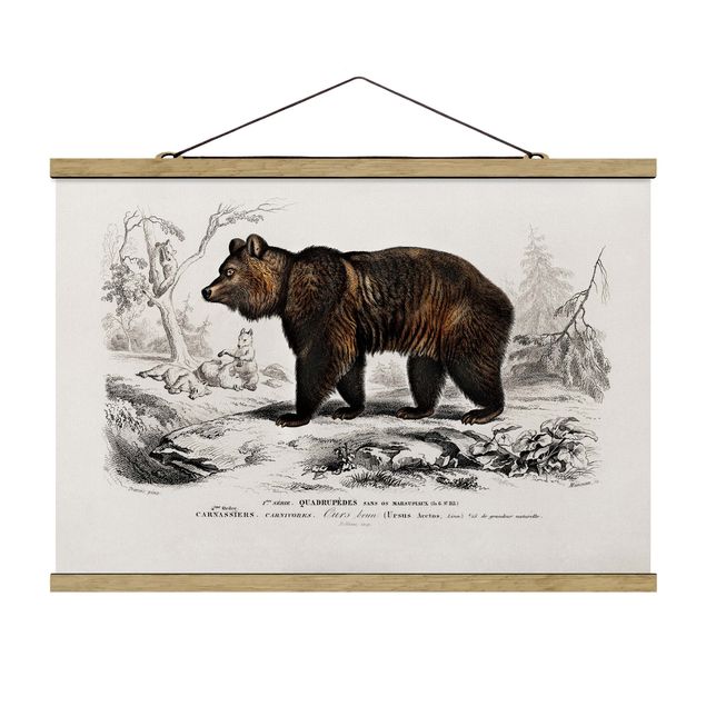 Cuadro vintage Vintage Board Brown Bear