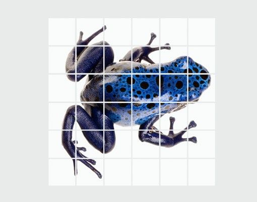 Adhesivos para azulejos en azul Blue Frog