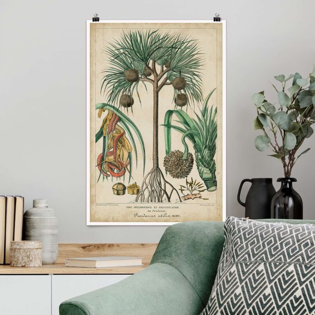 Decoración de cocinas Vintage Board Exotic Palms I