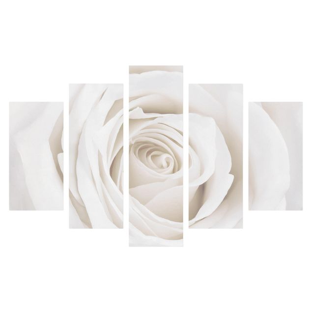Lienzos de flores Pretty White Rose