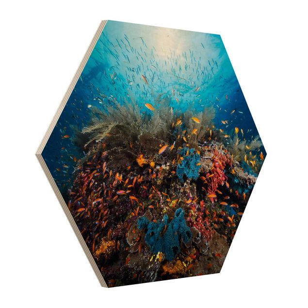 cuadros hexagonales Lagoon Underwater