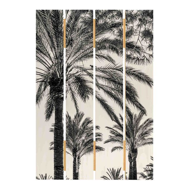 Cuadros Uwe Merkel Palm Trees At Sunset Black And White