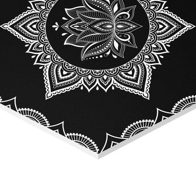 Cuadros Lotus OM Illustration Set Black