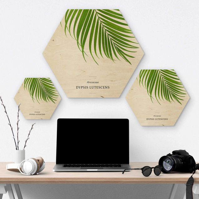 Hexagon Bild Holz - Tropisches Blatt Areca Palme