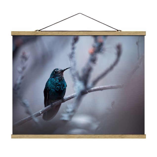 Cuadros de animales Hummingbird In Winter