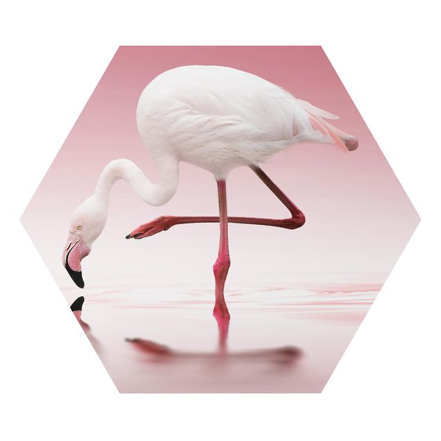 Cuadro naranja Flamingo Dance