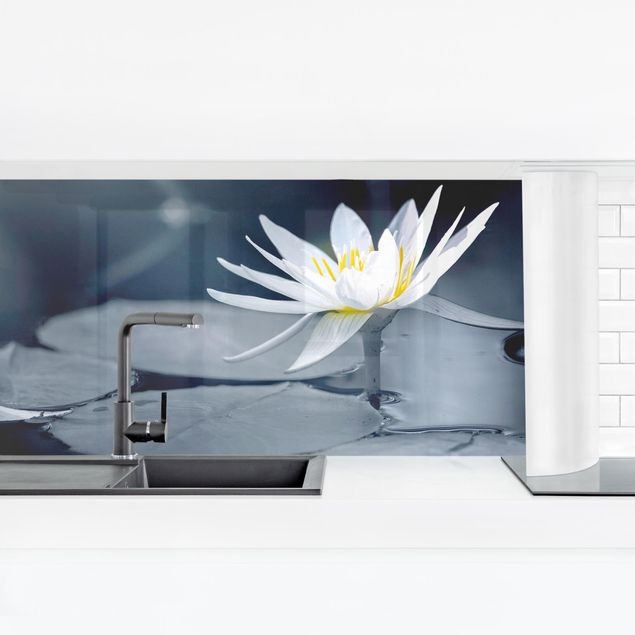Salpicaderos de cocina flores Lotus Reflection In The Water