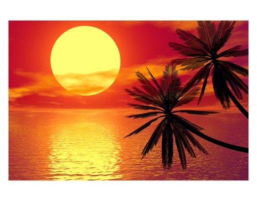 Laminas adhesivas pared Caribbean sunset