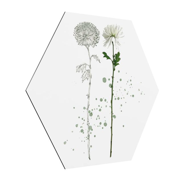 Cuadros de flores modernos Botanical Watercolour - Dandelion