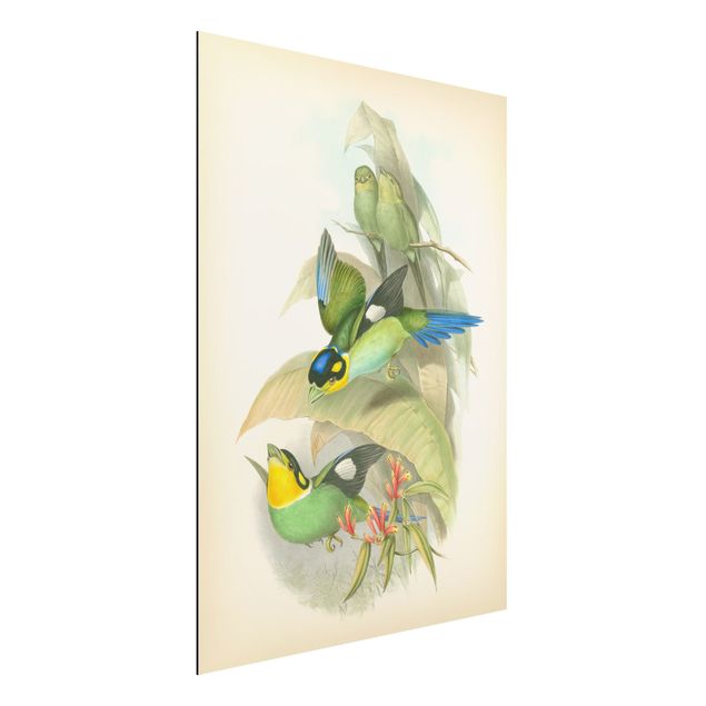 Decoración de cocinas Vintage Illustration Tropical Birds