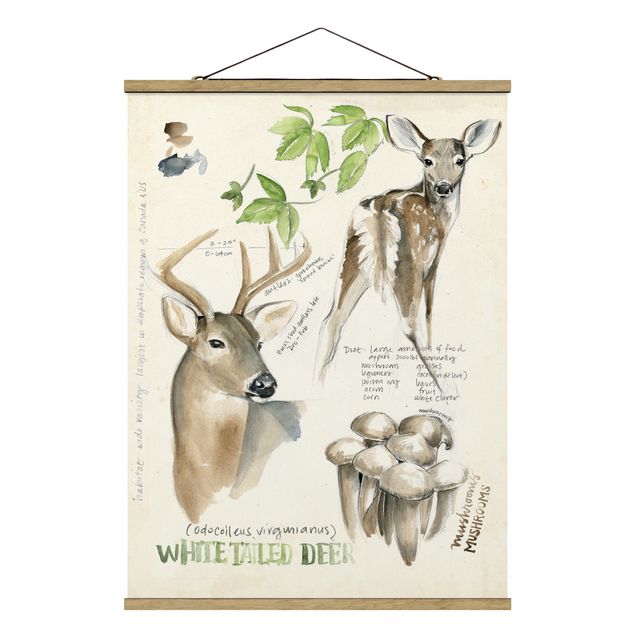 Cuadros de flores Wilderness Journal - Deer