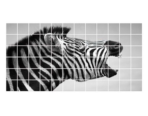 Adhesivos para azulejos Roaring Zebra ll