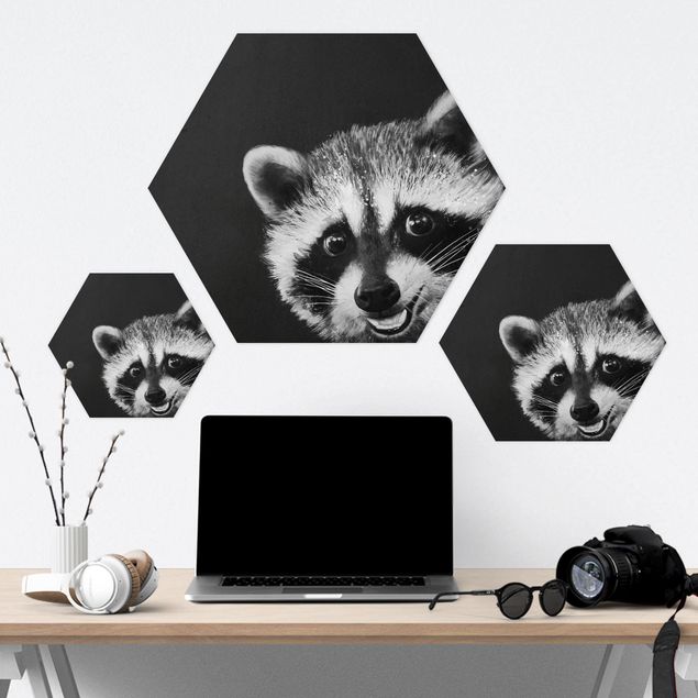 Cuadros Illustration Racoon Black And White Painting