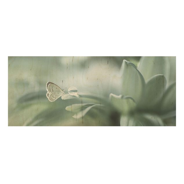 Cuadros de madera flores Butterfly And Dew Drops In Pastel Green