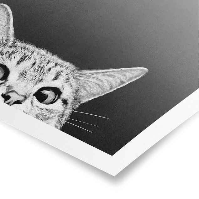 Cuadro negro Illustration Cat Black And White Drawing