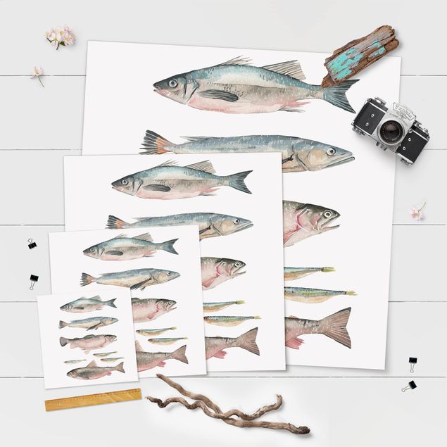 Láminas decorativas para pared Seven Fish In Watercolour I