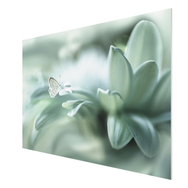 Cuadros plantas Butterfly And Dew Drops In Pastel Green