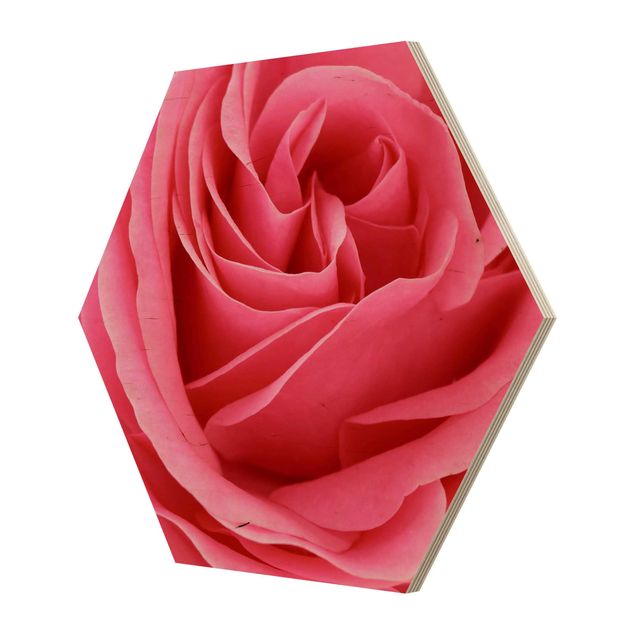 Hexagon Bild Holz - Lustful Pink Rose