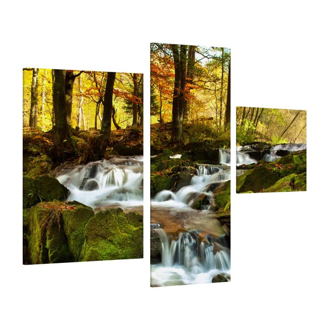 Cuadros árboles Waterfall Autumnal Forest
