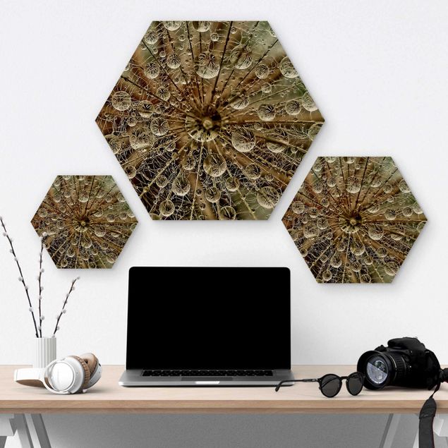 Hexagon Bild Holz - Pusteblume im Herbst