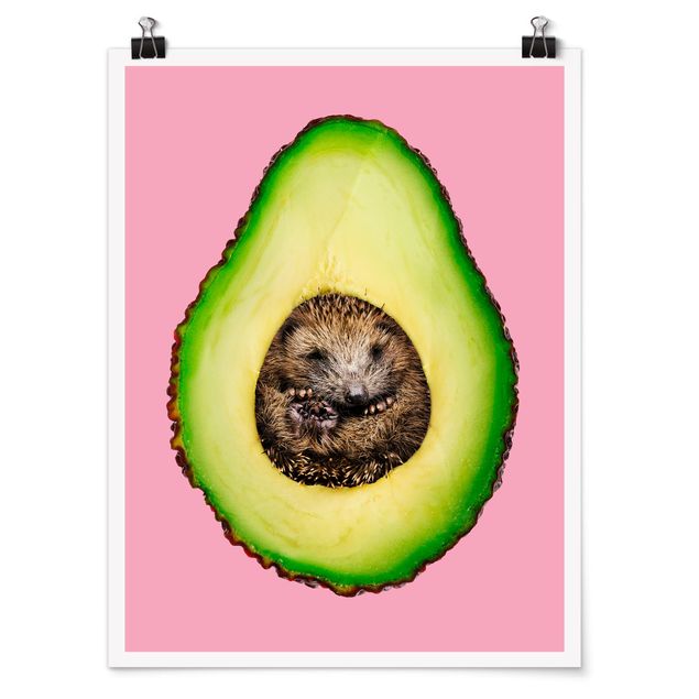 Láminas animales Avocado With Hedgehog