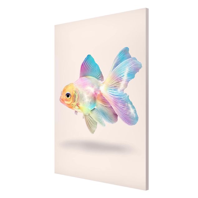 Tableros magnéticos animales Fish In Pastel