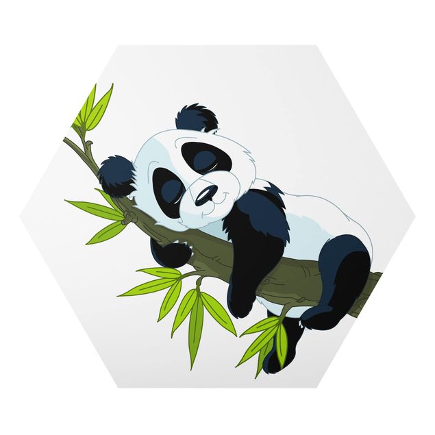 Cuadros paisajes naturaleza Sleeping Panda