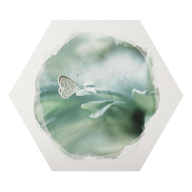 Cuadros modernos y elegantes WaterColours - Butterfly And Dew Drops In Pastel Green