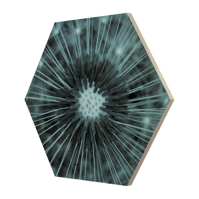 Hexagon Bild Holz - Blau getönte Pusteblume